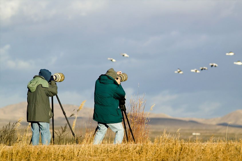Bird Watching in Uganda