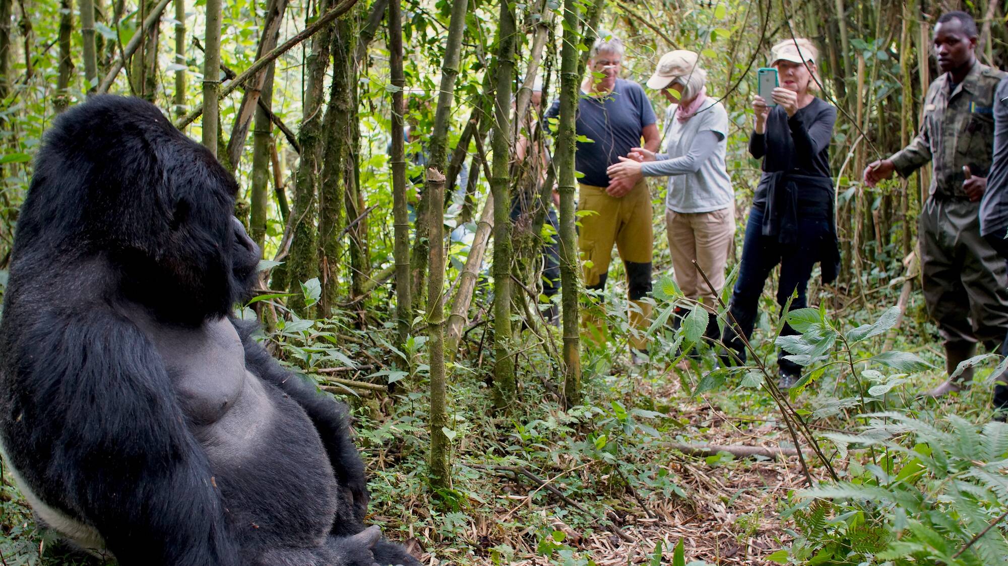 Family with children gorilla trekking