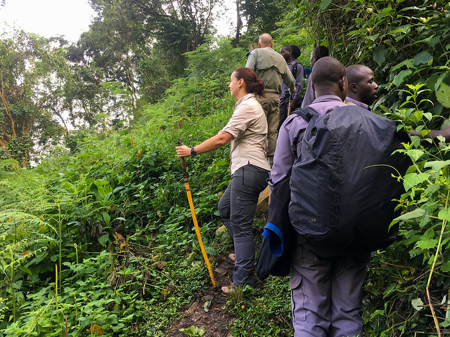 Essential items for gorilla trekking laid out