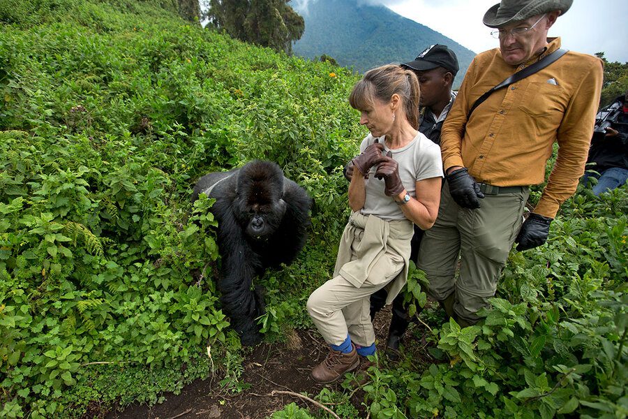 Tourists hiking steep terrain in Bwindi Forest