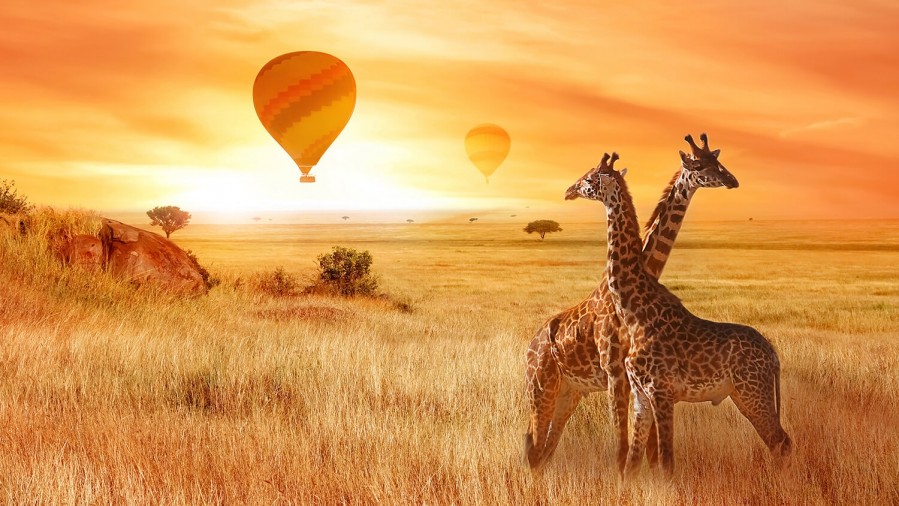 Hot Air Balloon Safari