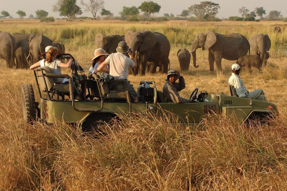 Game Drives